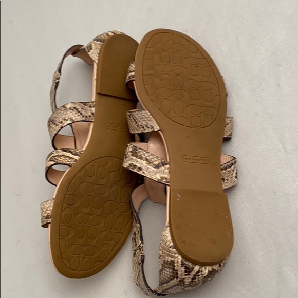 Coach Oleta tan brown python snake gladiator sandals 9 - Picture 6 of 8